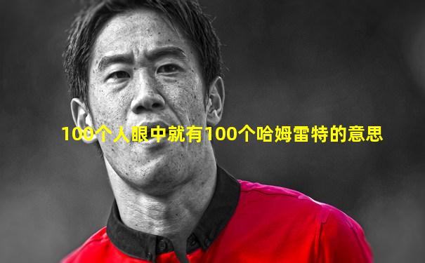 100个人眼中就有100个哈姆雷特的意思