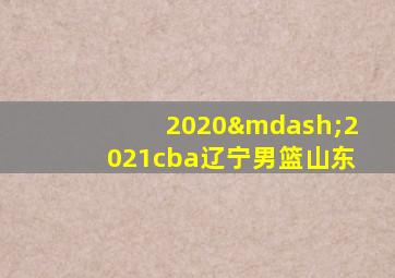 2020—2021cba辽宁男篮山东