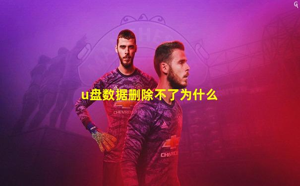 u盘数据删除不了为什么