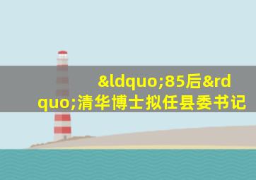 “85后”清华博士拟任县委书记