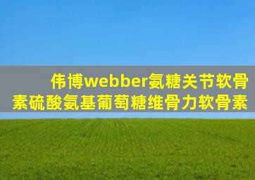伟博webber氨糖关节软骨素硫酸氨基葡萄糖维骨力软骨素