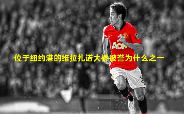 位于纽约港的维拉扎诺大桥被誉为什么之一