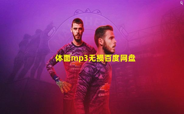体面mp3无损百度网盘