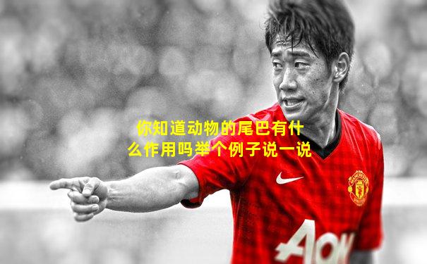 你知道动物的尾巴有什么作用吗举个例子说一说