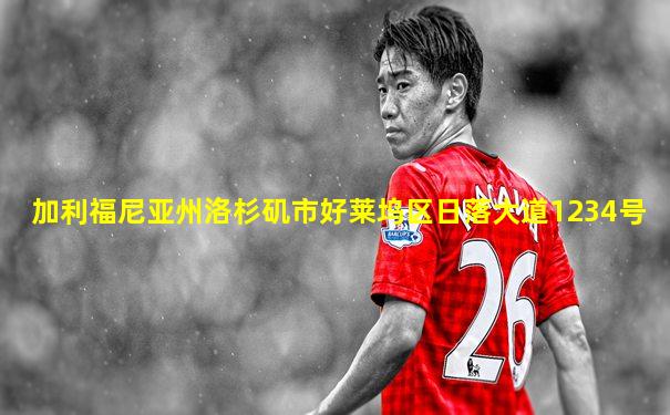 加利福尼亚州洛杉矶市好莱坞区日落大道1234号