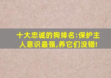 十大忠诚的狗排名:保护主人意识最强,养它们没错!