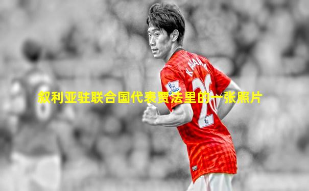 叙利亚驻联合国代表贾法里的一张照片