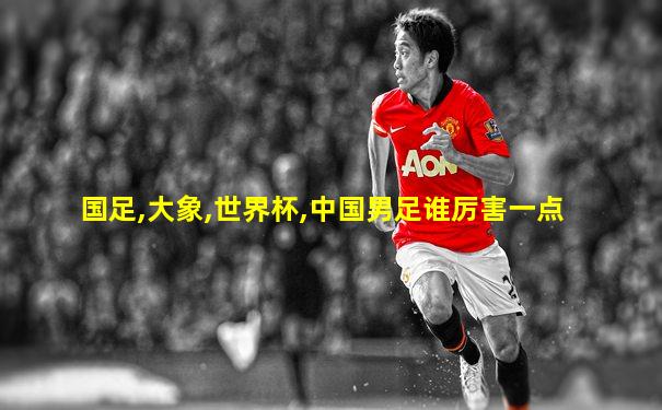 国足,大象,世界杯,中国男足谁厉害一点