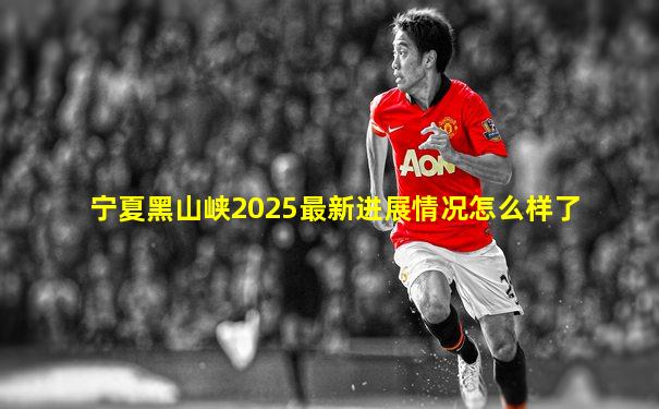 宁夏黑山峡2025最新进展情况怎么样了