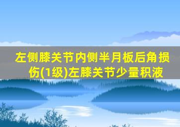 左侧膝关节内侧半月板后角损伤(1级)左膝关节少量积液