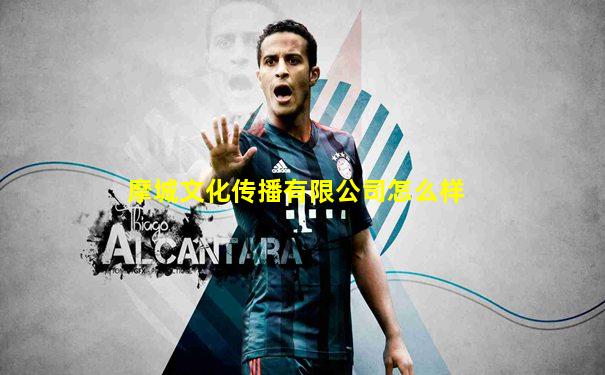 摩城文化传播有限公司怎么样