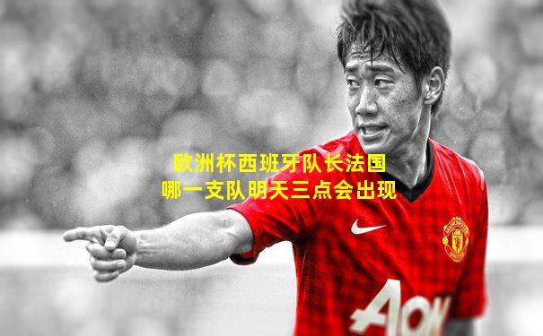 欧洲杯西班牙队长法国哪一支队明天三点会出现