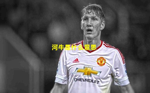 河牛是什么意思