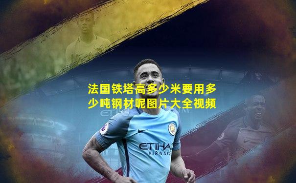 法国铁塔高多少米要用多少吨钢材呢图片大全视频