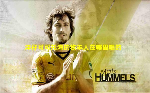 洋仔可可托海的牧羊人在哪里唱的