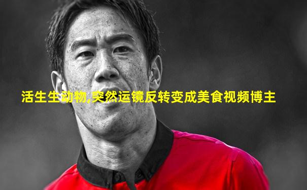 活生生动物,突然运镜反转变成美食视频博主