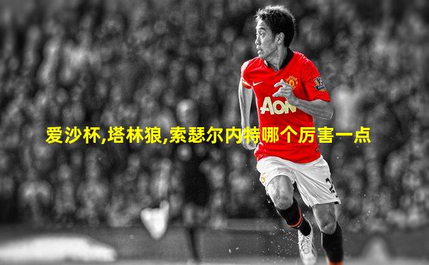 爱沙杯,塔林狼,索瑟尔内特哪个厉害一点