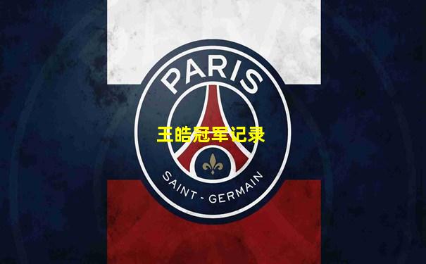 王皓冠军记录