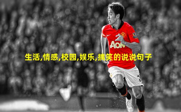生活,情感,校园,娱乐,搞笑的说说句子