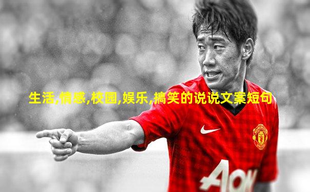 生活,情感,校园,娱乐,搞笑的说说文案短句