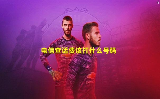 电信查话费该打什么号码