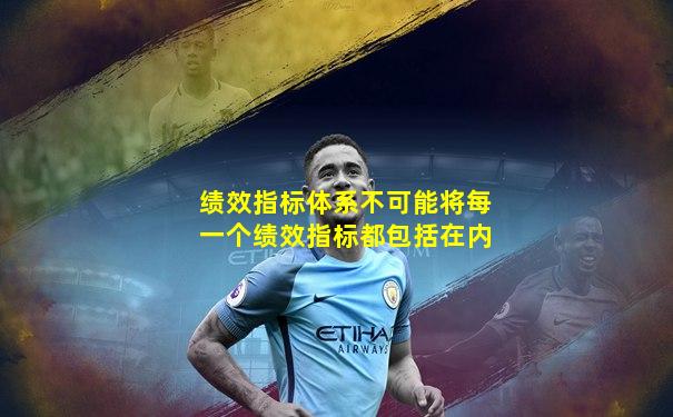 绩效指标体系不可能将每一个绩效指标都包括在内