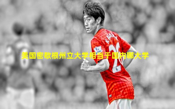 美国密歇根州立大学相当于国内哪大学