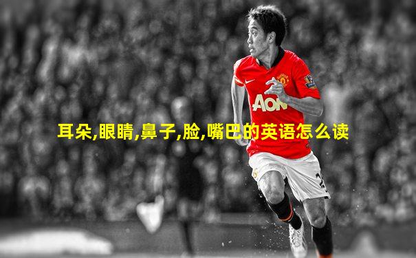 耳朵,眼睛,鼻子,脸,嘴巴的英语怎么读