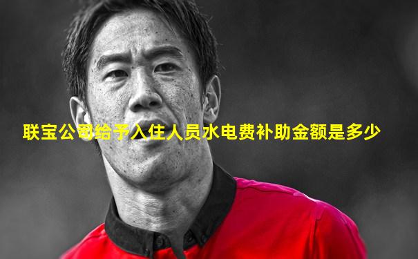 联宝公司给予入住人员水电费补助金额是多少