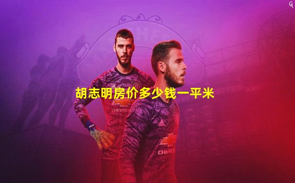 胡志明房价多少钱一平米