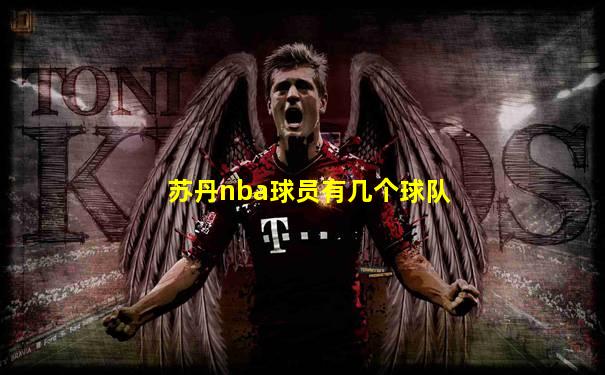 苏丹nba球员有几个球队