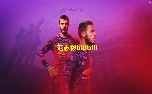 范志毅bilibili