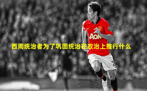 西周统治者为了巩固统治在政治上推行什么