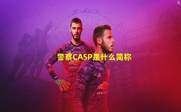警察CASP是什么简称