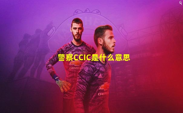 警察CCIC是什么意思