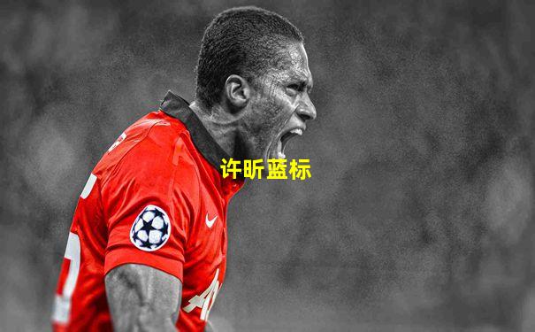 许昕蓝标