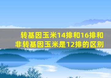 转基因玉米14排和16排和非转基因玉米是12排的区别