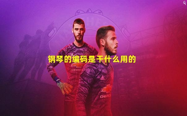 钢琴的编码是干什么用的