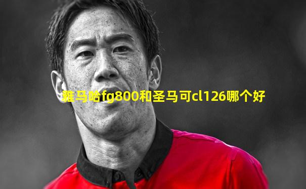 雅马哈fg800和圣马可cl126哪个好