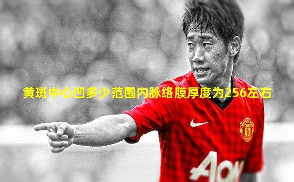 黄斑中心凹多少范围内脉络膜厚度为256左右